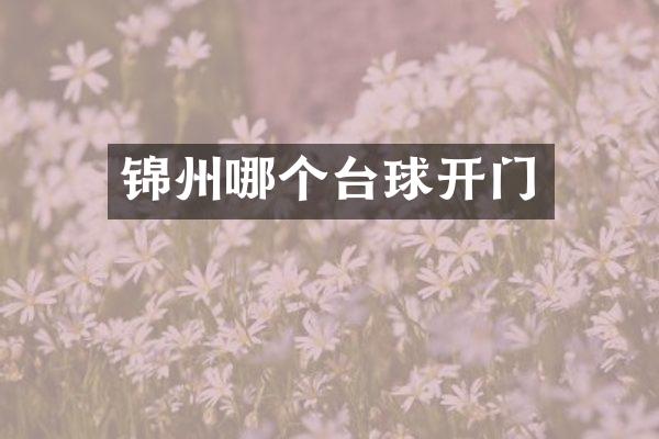 锦州哪个台球开门