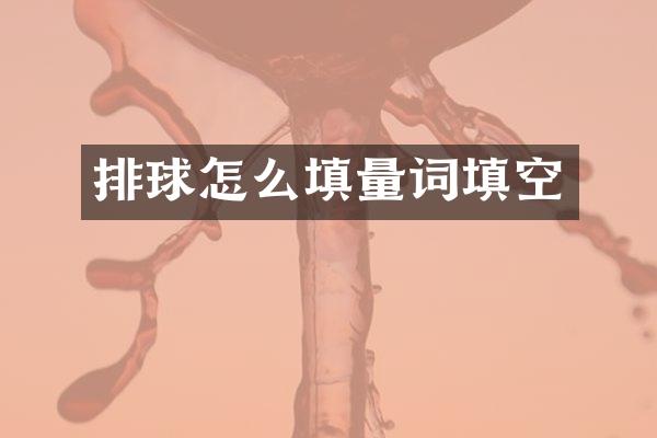 排球怎么填量词填空