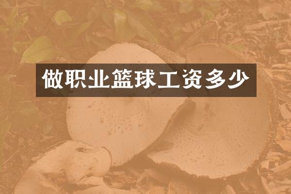 做职业篮球工资多少