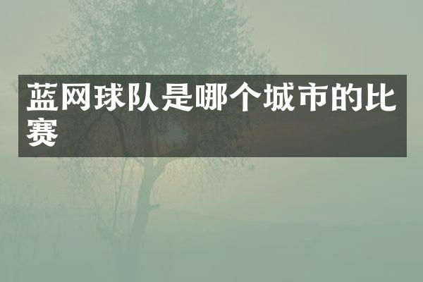 蓝网球队是哪个城市的比赛