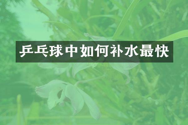 乒乓球中如何补水最快