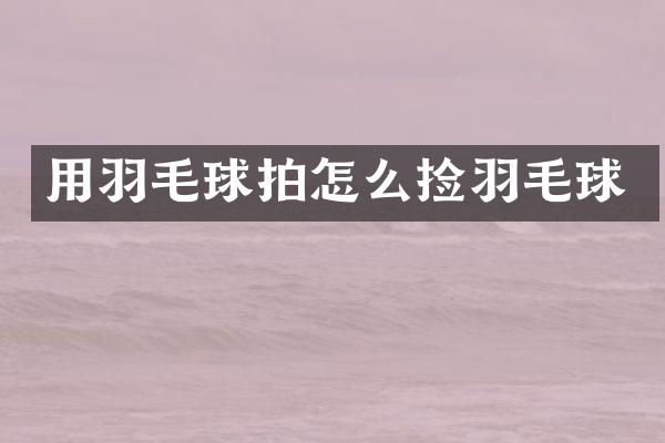 用羽毛球拍怎么捡羽毛球