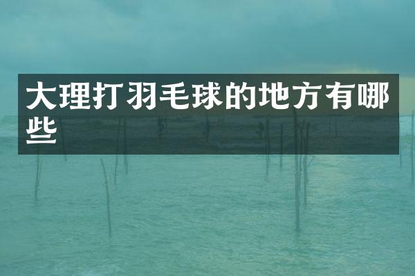 大理打羽毛球的地方有哪些