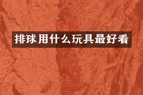 排球用什么玩具最好看