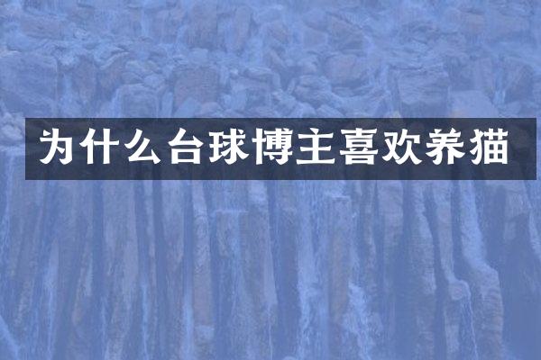 为什么台球博主喜欢养猫