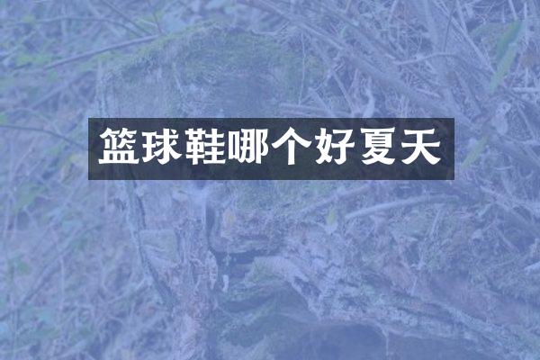 篮球鞋哪个好夏天