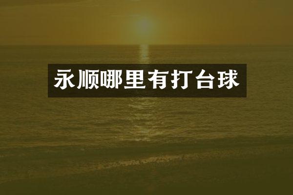 永顺哪里有打台球