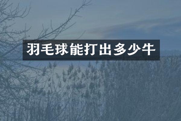 羽毛球能打出多少牛
