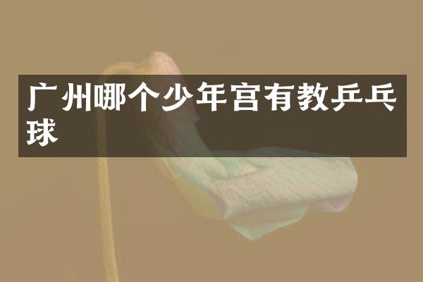 广州哪个少年宫有教乒乓球