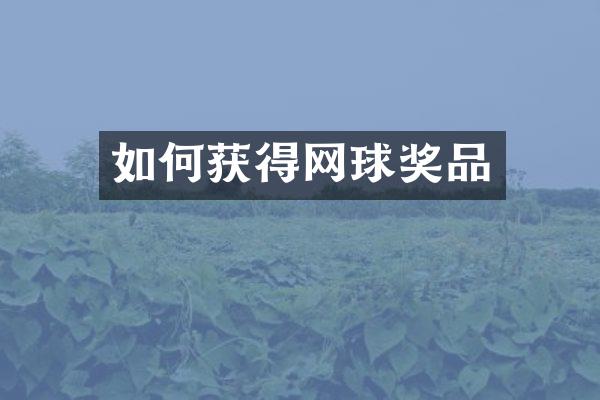 如何获得网球奖品