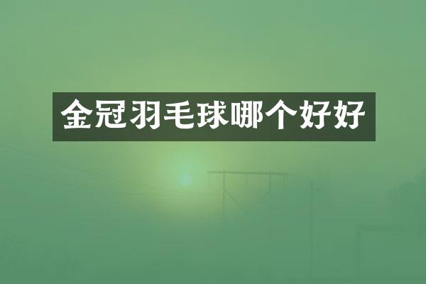 金冠羽毛球哪个好好