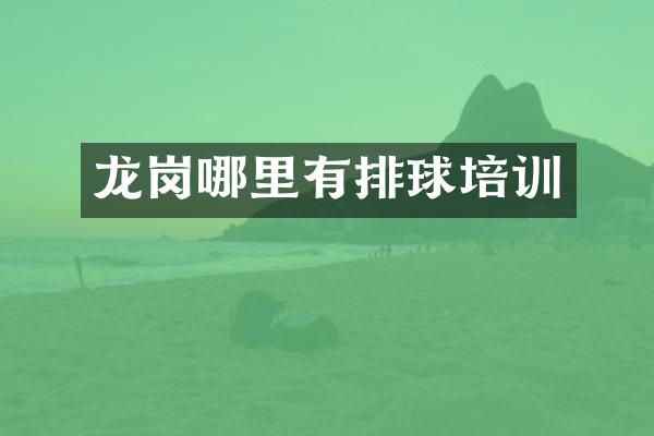 龙岗哪里有排球培训