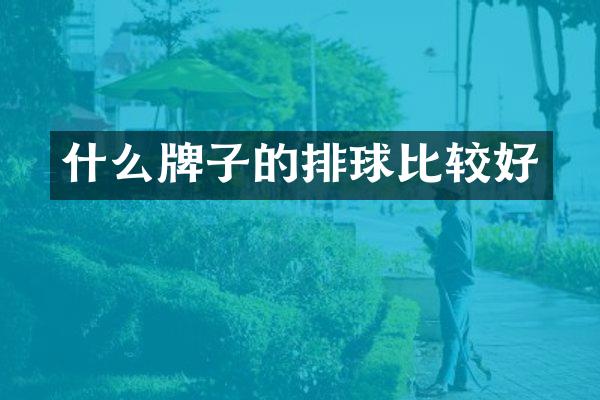 什么牌子的排球比较好