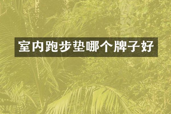 室内跑步垫哪个牌子好