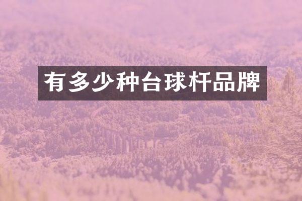 有多少种台球杆品牌