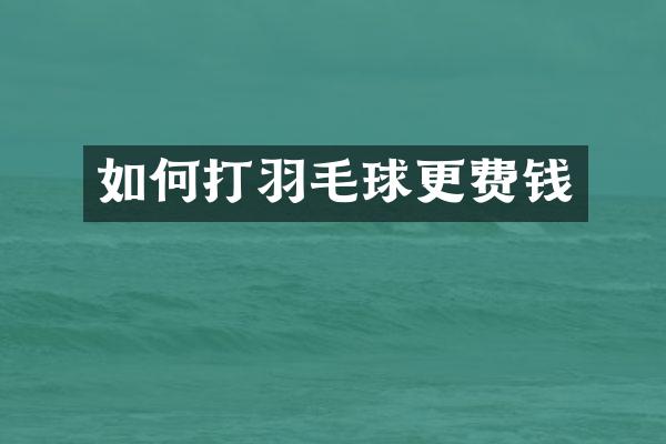 如何打羽毛球更费钱