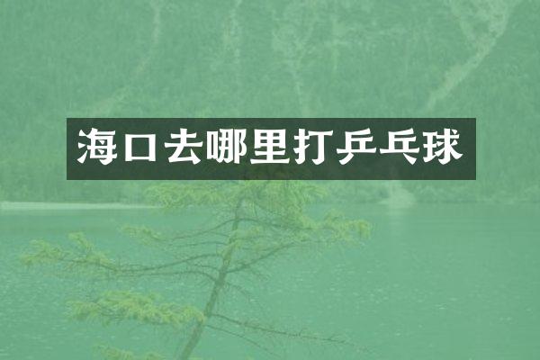 海口去哪里打乒乓球