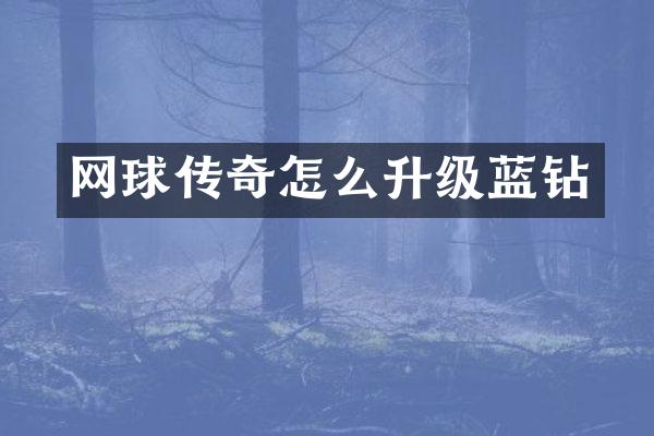 网球传奇怎么升级蓝钻