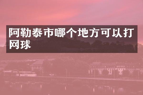 阿勒泰市哪个地方可以打网球