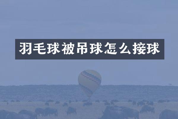 羽毛球被吊球怎么接球