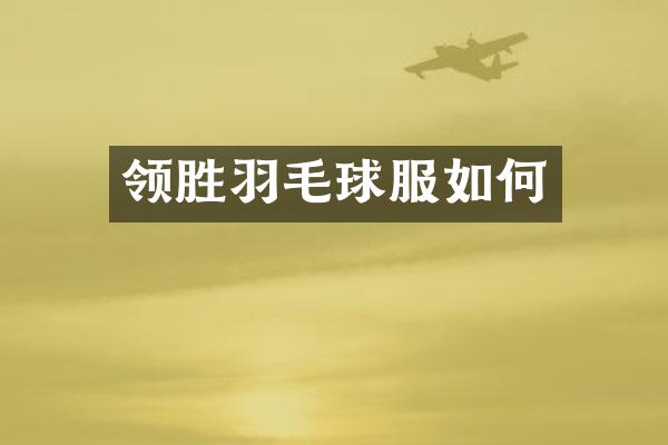 领胜羽毛球服如何