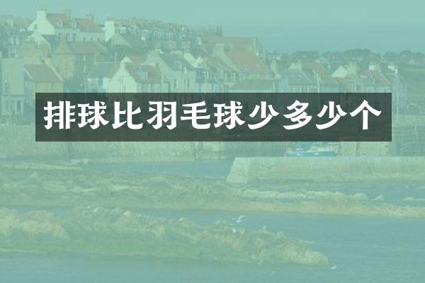 排球比羽毛球少多少个