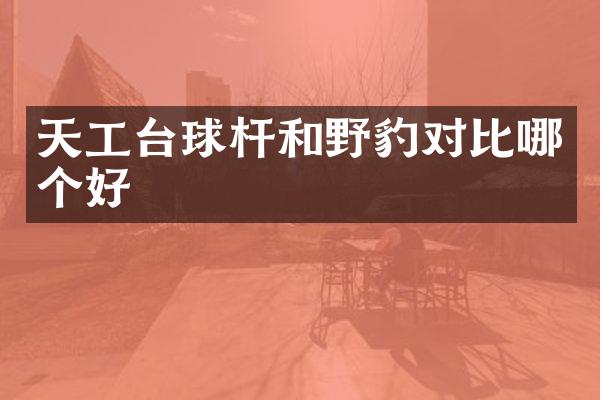 天工台球杆和野豹对比哪个好