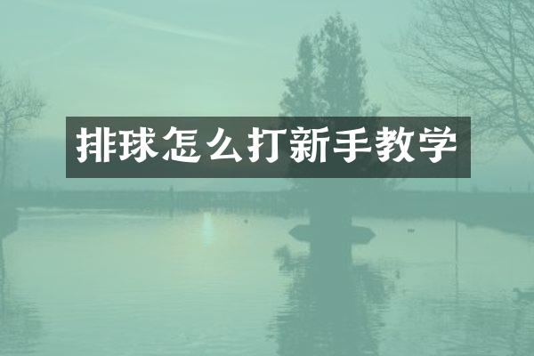 排球怎么打新手教学