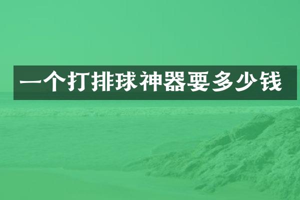 一个打排球神器要多少钱