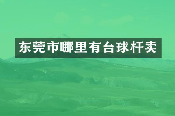 东莞市哪里有台球杆卖