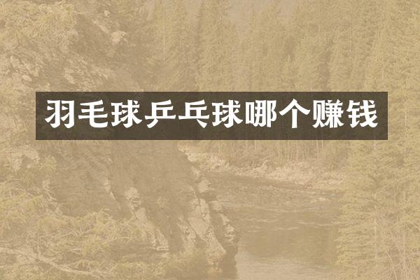 羽毛球乒乓球哪个赚钱