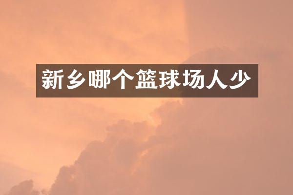 新乡哪个篮球场人少