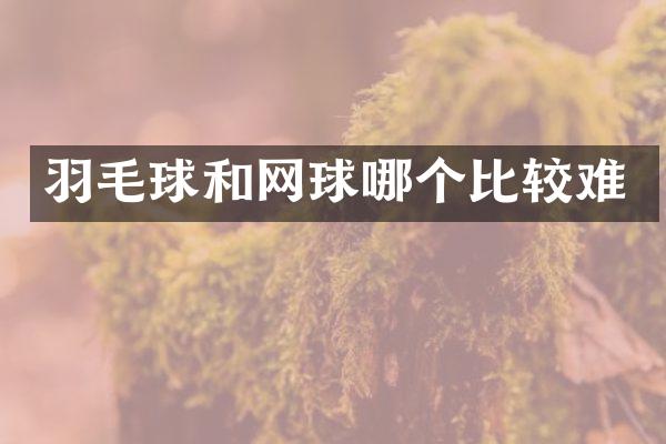 羽毛球和网球哪个比较难