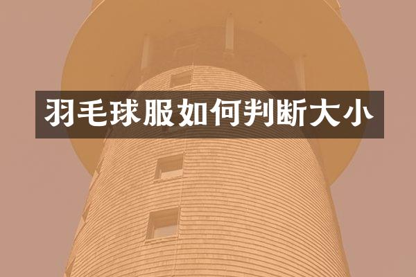 羽毛球服如何判断大小