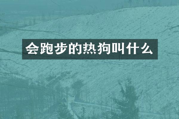 会跑步的热狗叫什么