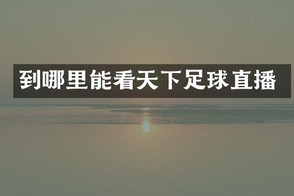 到哪里能看天下足球直播