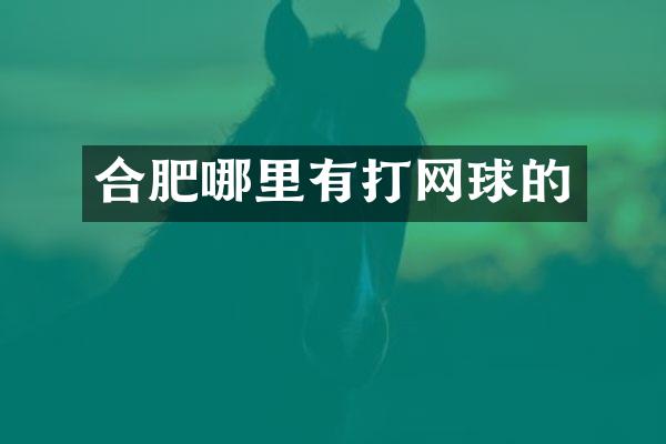 合肥哪里有打网球的