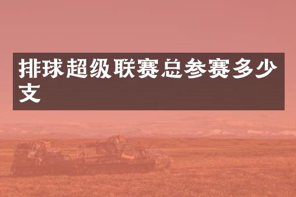 排球超级联赛总参赛多少支