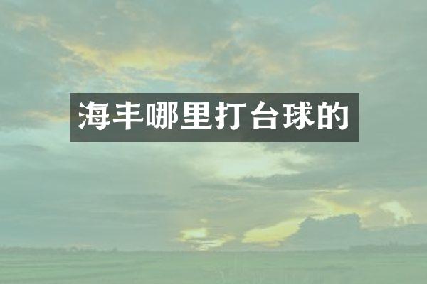 海丰哪里打台球的