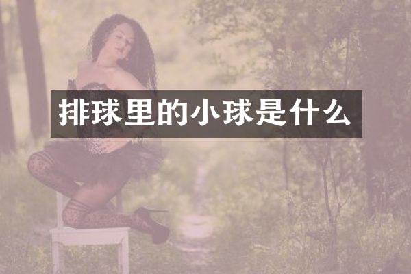 排球里的小球是什么