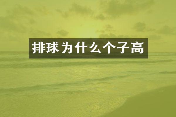 排球为什么个子高