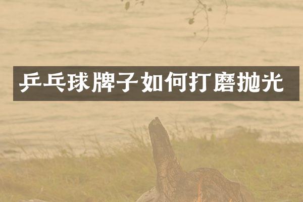 乒乓球牌子如何打磨抛光