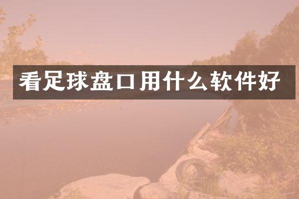 看足球盘口用什么软件好