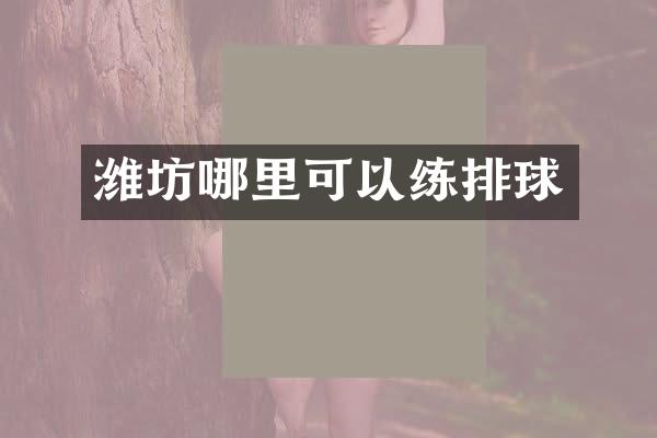 潍坊哪里可以练排球