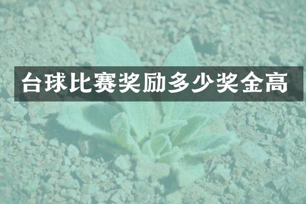 台球比赛奖励多少奖金高