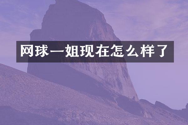 网球一姐现在怎么样了