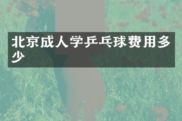 北京成人学乒乓球费用多少