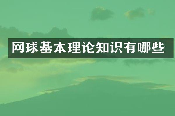 网球基本理论知识有哪些