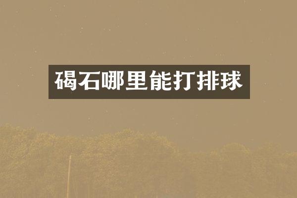 碣石哪里能打排球