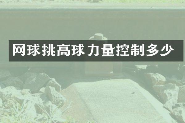 网球挑高球力量控制多少